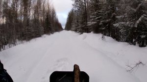 ОХОТА НА БОРОВУЮ В ЯНВАРЕ 2020///охота на мотобуксировщике