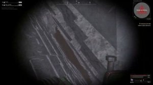 ОХОТА НА ВАГАНТА | STALCRAFT