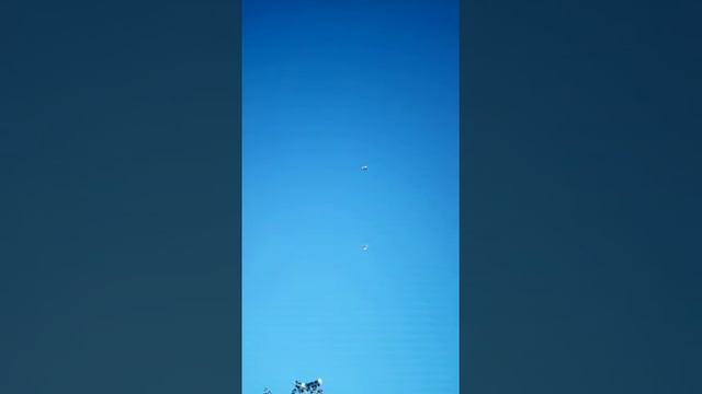 Николаевские голуби Калугина Николая 2019 смотреть онлайн