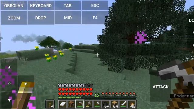 Mod Morph Pojav Launcher