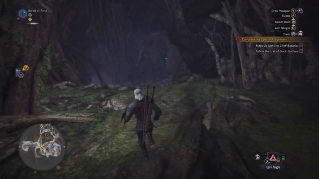 MHW X Witcher 3 All Rewards And True Ending! Keeping Pukei Pukei Alive | Monster Hunter World