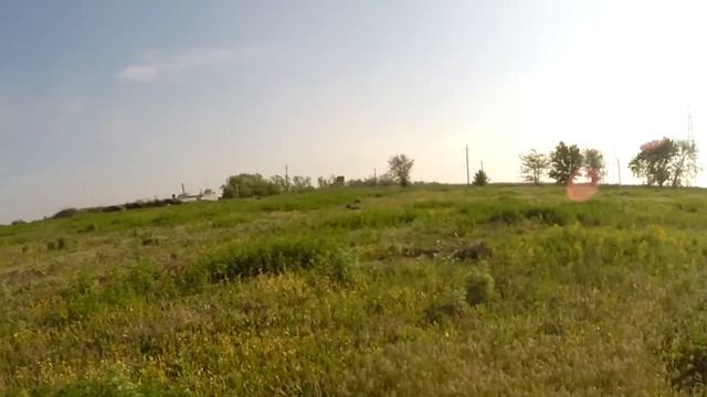 Работы дратхааров в черте города, встречи с куропатками, перепелами и фазанами. смотреть онлайн