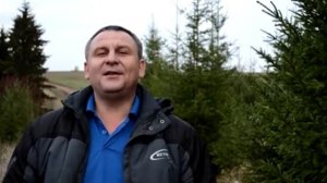 Стихи о женщине