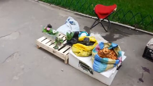 А голубь то не лох смотреть онлайн