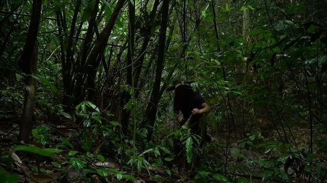 Stream Fishing, Foraging Wild Food In The Rain: Survival Alone | EP.262