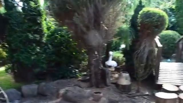 Банька на Хуторе Дыканьки !!! смотреть онлайн