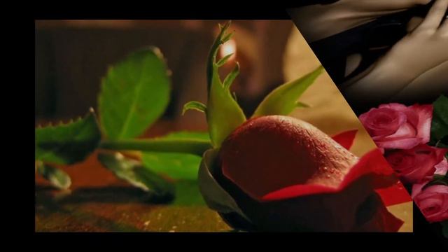 Der lachende Vagabunt..........Fred Bertelmann смотреть онлайн