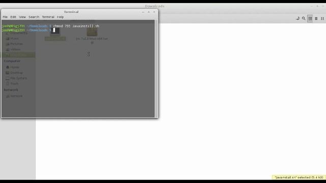 Installing Java on Linux Mint and Ubuntu смотреть онлайн