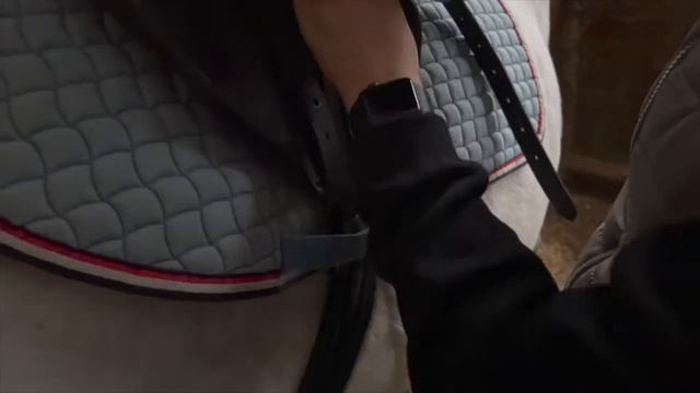 ПЕРВАЯ конная тренировка//equestrian Vlog|конный спорт ??#equestrian #перваятренировка #конныйвлог