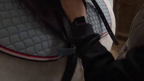 ПЕРВАЯ конная тренировка//equestrian vlog|конный спорт ??#equestrian #перваятренировка #конныйвлог