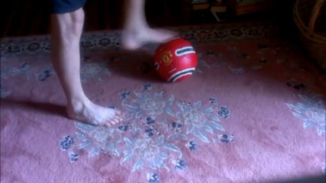 RainyDays are FreestyleDays. Inside Snake Tutorial смотреть онлайн