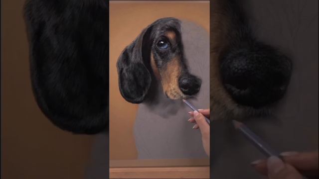 So Beautiful! What do you think? смотреть онлайн