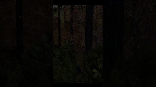DayZ смотреть онлайн