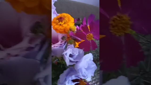 Что подарила подруга моей бабушке на день рождения обзор подарка смотреть онлайн