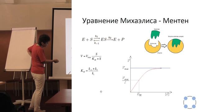 Математические модели регуляции экспрессии гена — Мария Самсонова смотреть онлайн