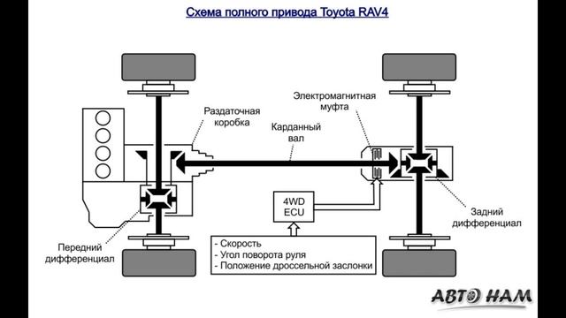 Основные поломки Toyota Rav4 всех поколений смотреть онлайн