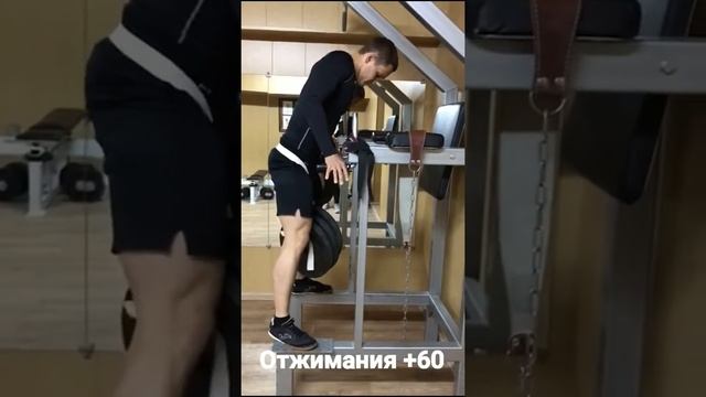 Силовые на 1 ноября 2018 смотреть онлайн