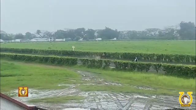 Hípica Nacional en vivo смотреть онлайн