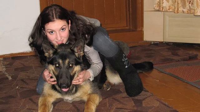 Моей собаке 6 лет))) смотреть онлайн