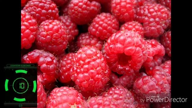 Угадай песни по картинкам за 10 секунд - Макс Корж смотреть онлайн