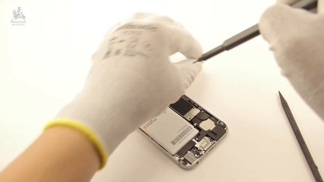 Ремонт iPhone в Санкт-Петербурге (Замена нижнего динамика) смотреть онлайн