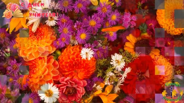 С ДНЕМ УЧИТЕЛЯ Красивое музыкальное видео поздравление смотреть онлайн