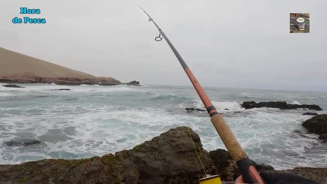¡¡Picadas de corvina y lenguados en peñas!! || Croakers and soles on cliffs. смотреть онлайн