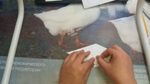 Оригами "Белёк"