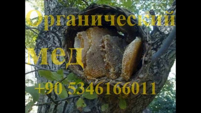 Органический мед смотреть онлайн