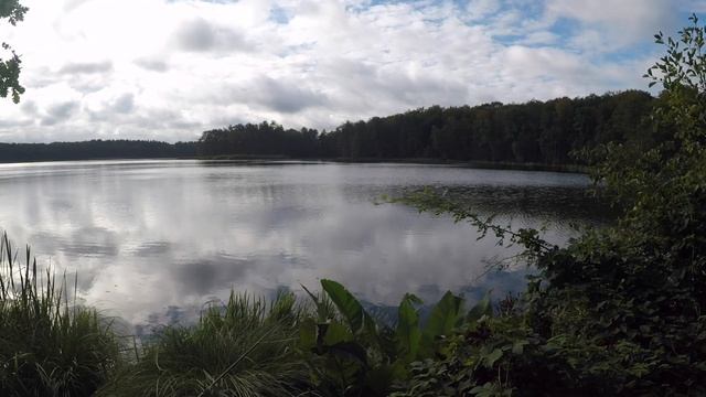 3 Days Solo Bushcraft - Cook, Fishing, Kayak, Rain [Poland] смотреть онлайн