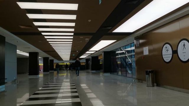 Прилет в Шереметьево 19.05.2020, выход без проверок. смотреть онлайн