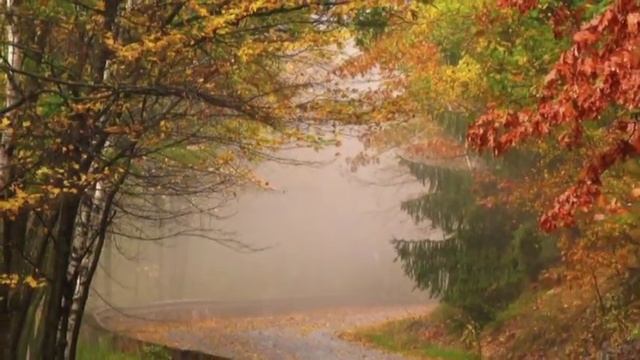 Теплит грусть мою берёза смотреть онлайн