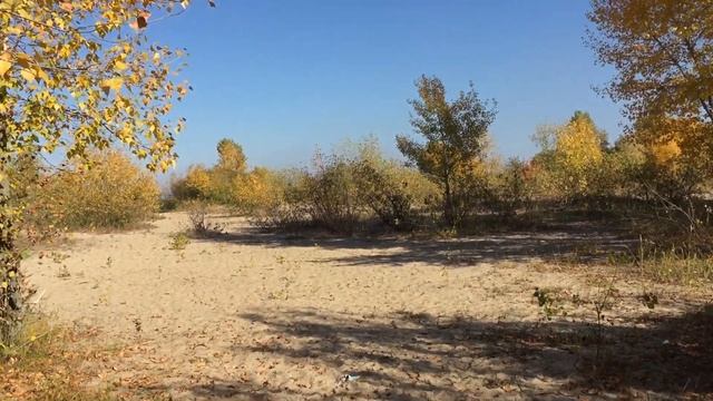 Получил сертификат ? Телефон в ремонте ?Новый Канал ?! смотреть онлайн