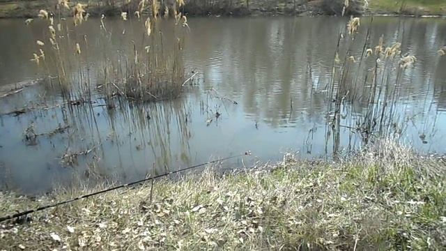 Рыбалка на Луганке г.Луганск 11.04.2018 смотреть онлайн