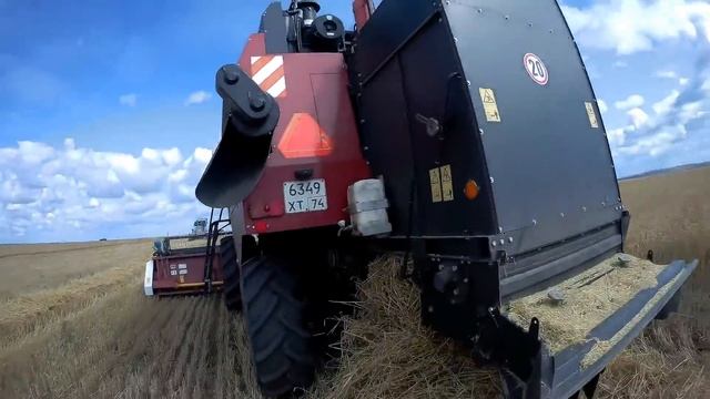 (Сезон 2018) Три VECTOR 410 и два МТЗ1221 с птс 12.  Обмолот 1000 гектар!