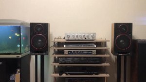 Колонки Вега 35 ас-105-1 и усилитель Бриг 001 (1 ревизия)