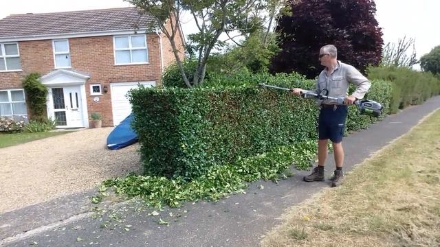 Ego 56 volt battery hedge cutter смотреть онлайн