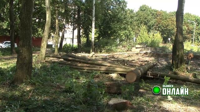 04.08.2023.  Вырубка деревьев на улице Кутузова