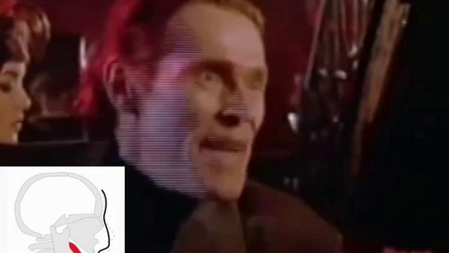 MEWING🤫🧏♂️ смотреть онлайн