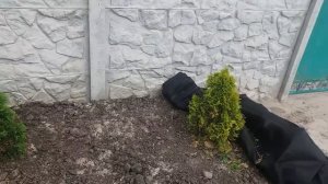 Как застелить клумбу агроволокном и засыпать декоративной корой