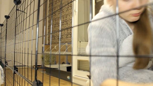 Распаковка покупки для кролика || Вольер для кролика смотреть онлайн