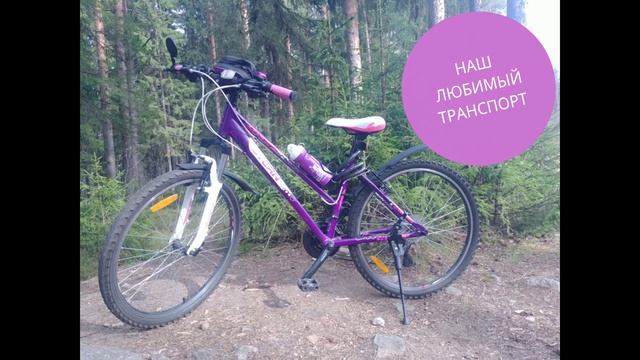 Я БУДУ ДОЛГО ГНАТЬ ВЕЛОСИПЕД. РОЛИК. ВЕЛОСИПЕД. СЕНТЯБРЬ смотреть онлайн