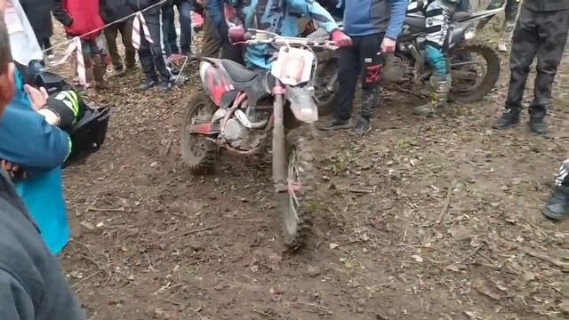 Царь Горы Николина Балка Плакучие Ивы смотреть онлайн