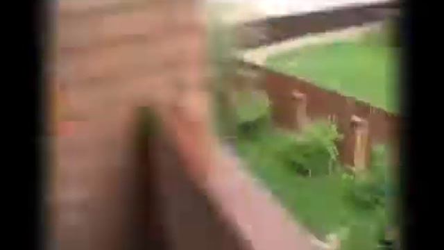 Trailer "Students' cottage" смотреть онлайн