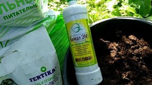 ВСЕ ПО ГОРШКАМ!!! Какой ГРУНТ я делаю для рассады клубники ?