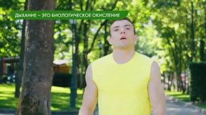 Жизнедеятельность организмов