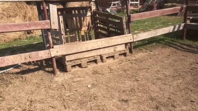 Жизнь с конями на даче. Вступление. смотреть онлайн