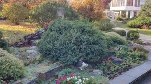 Санаторий Золотые пески. Анапа.