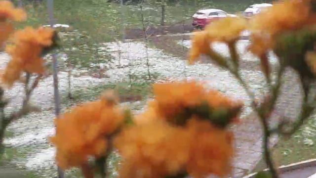 А, у нас, во дворе...был майский снег... смотреть онлайн