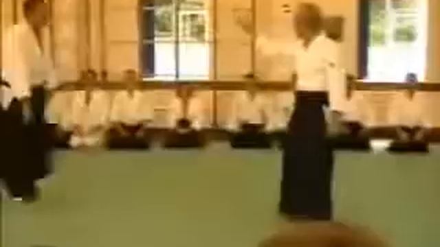 Демонстрация Ки Сьюдзи Маруямой. Кокикай смотреть онлайн